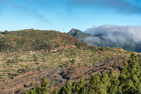 An image depicting the trail Chío - Arguayo SL TF 201 and its surrounding area.