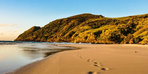 An image depicting the trail Kapowairua - Spirits Bay to Pandora and its surrounding area.