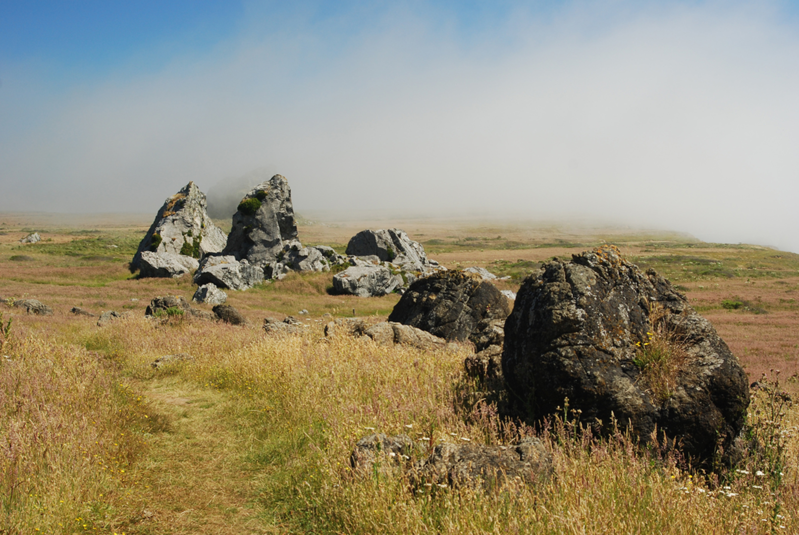 An image depicting the trail Mammoth Rock Trail and its surrounding area.