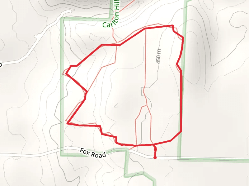 Dale Gulf Loop Trail