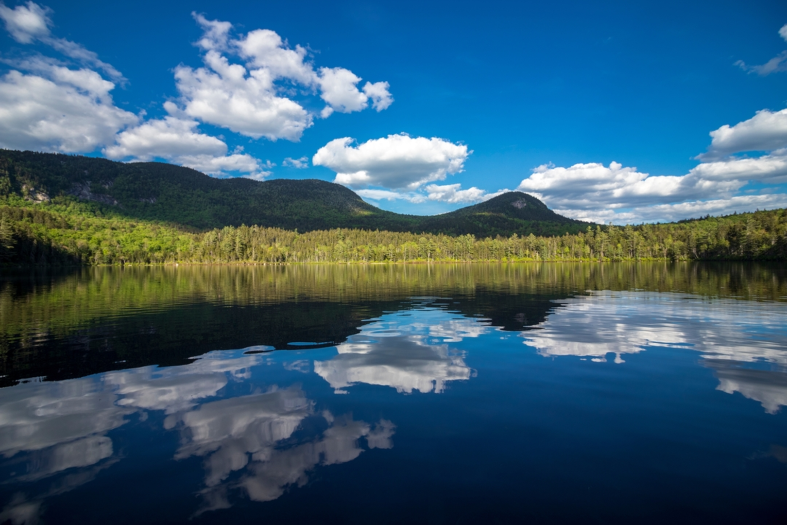 An image depicting the trail Sawyer Pond Trail Out and Back and its surrounding area.