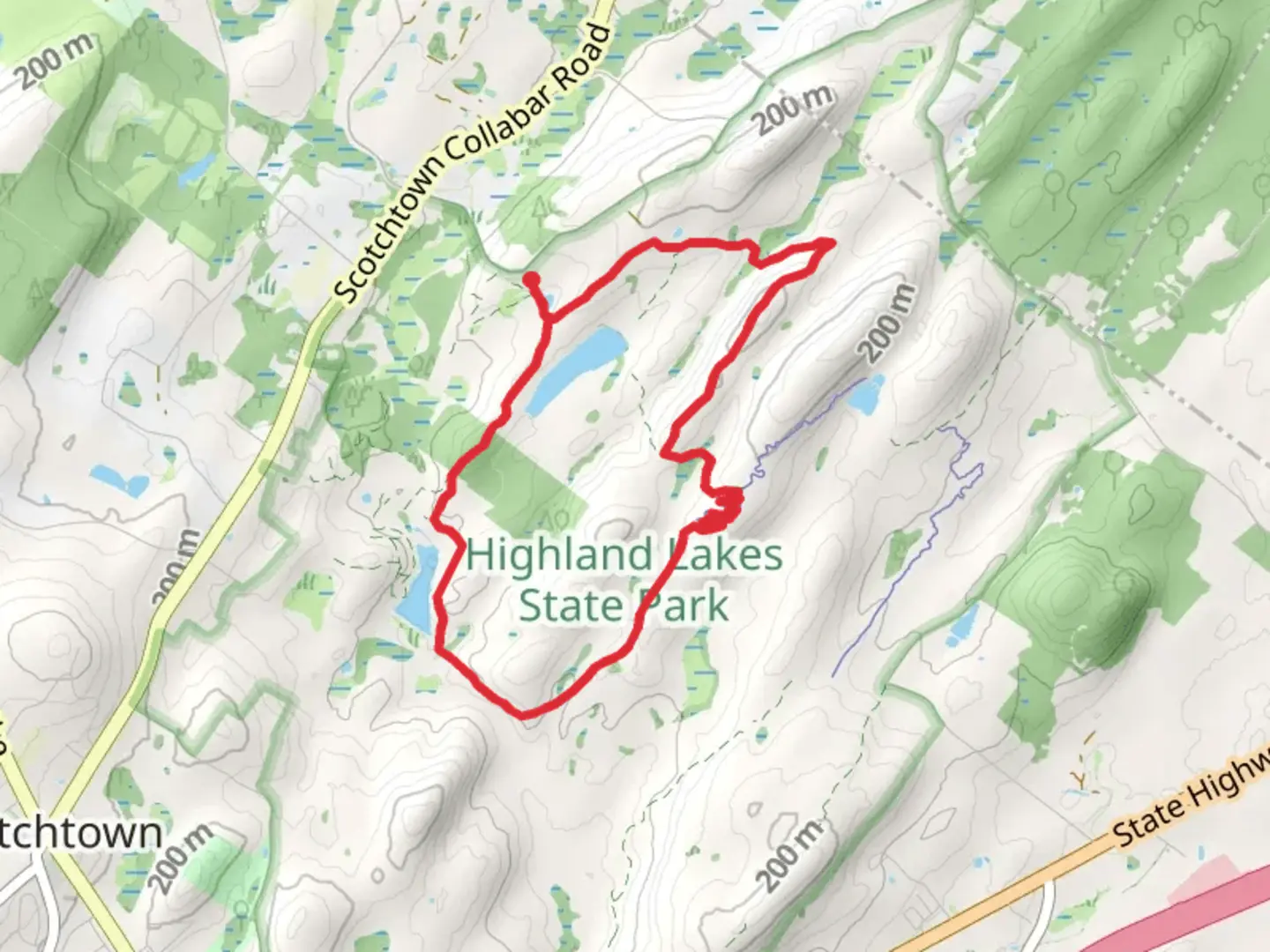 An image depicting the trail Tamms Pond from Tamms Road and its surrounding area.
