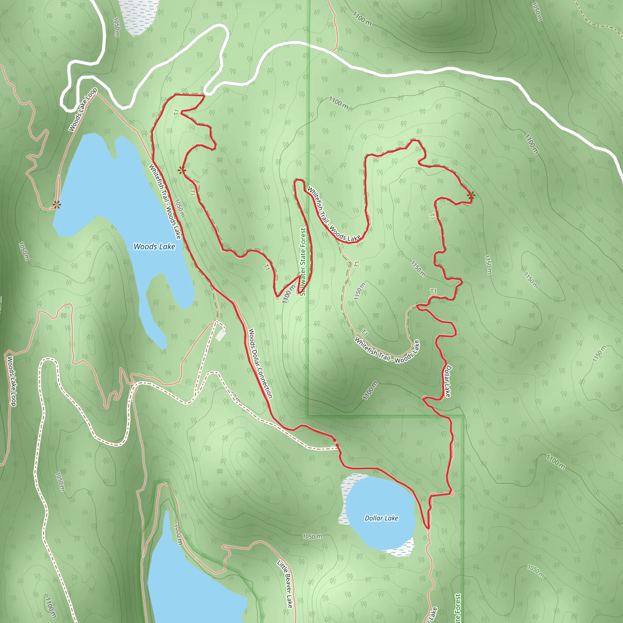 Dollar Lake and Whitefish Trail - Woods Lake Loop mobile static map