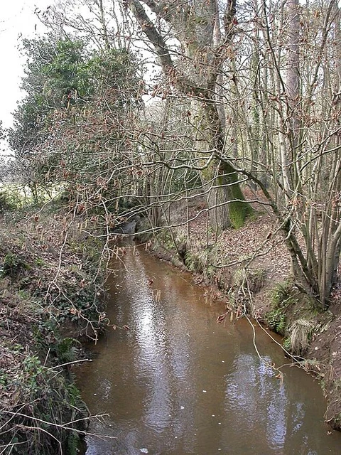 An image depicting the trail River Stour via Castleman Trailway and its surrounding area.