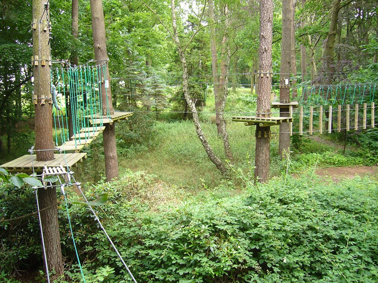 An image depicting the trail Wankbahn Bergstation Walk from Wankbahn Talstation and its surrounding area.