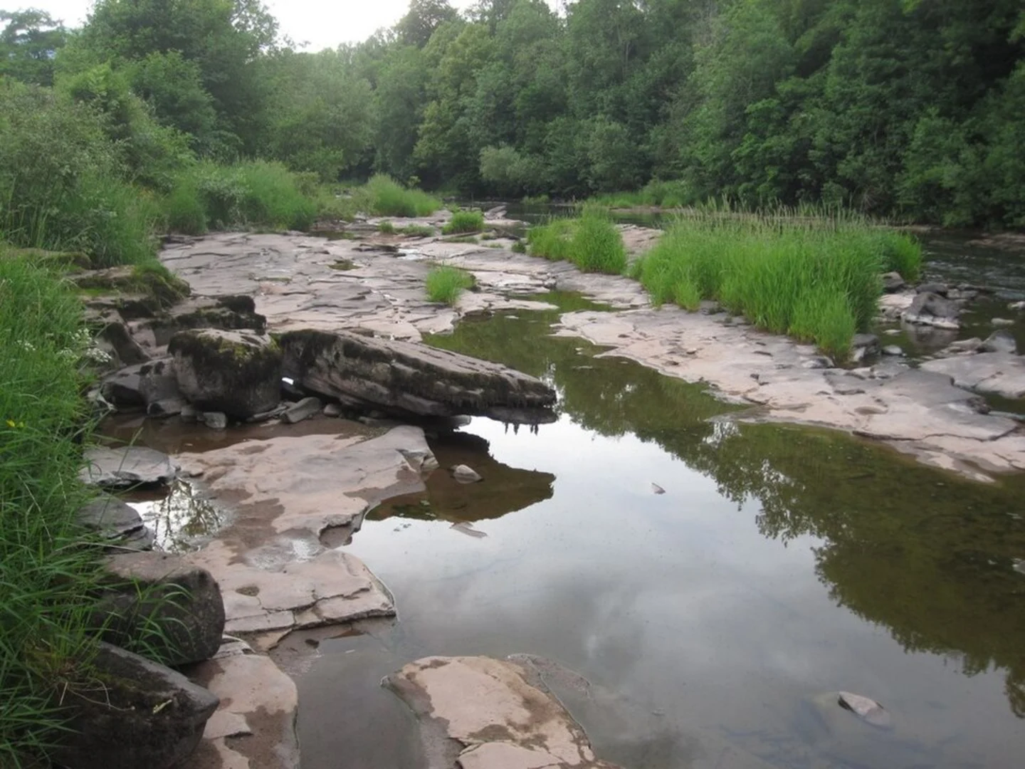 An image depicting the trail Llangynidr Loop and its surrounding area.