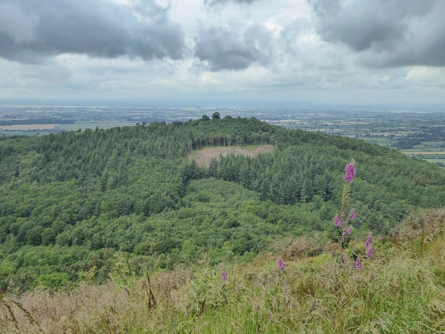An image depicting the trail Kilburn White Horse Loop and its surrounding area.