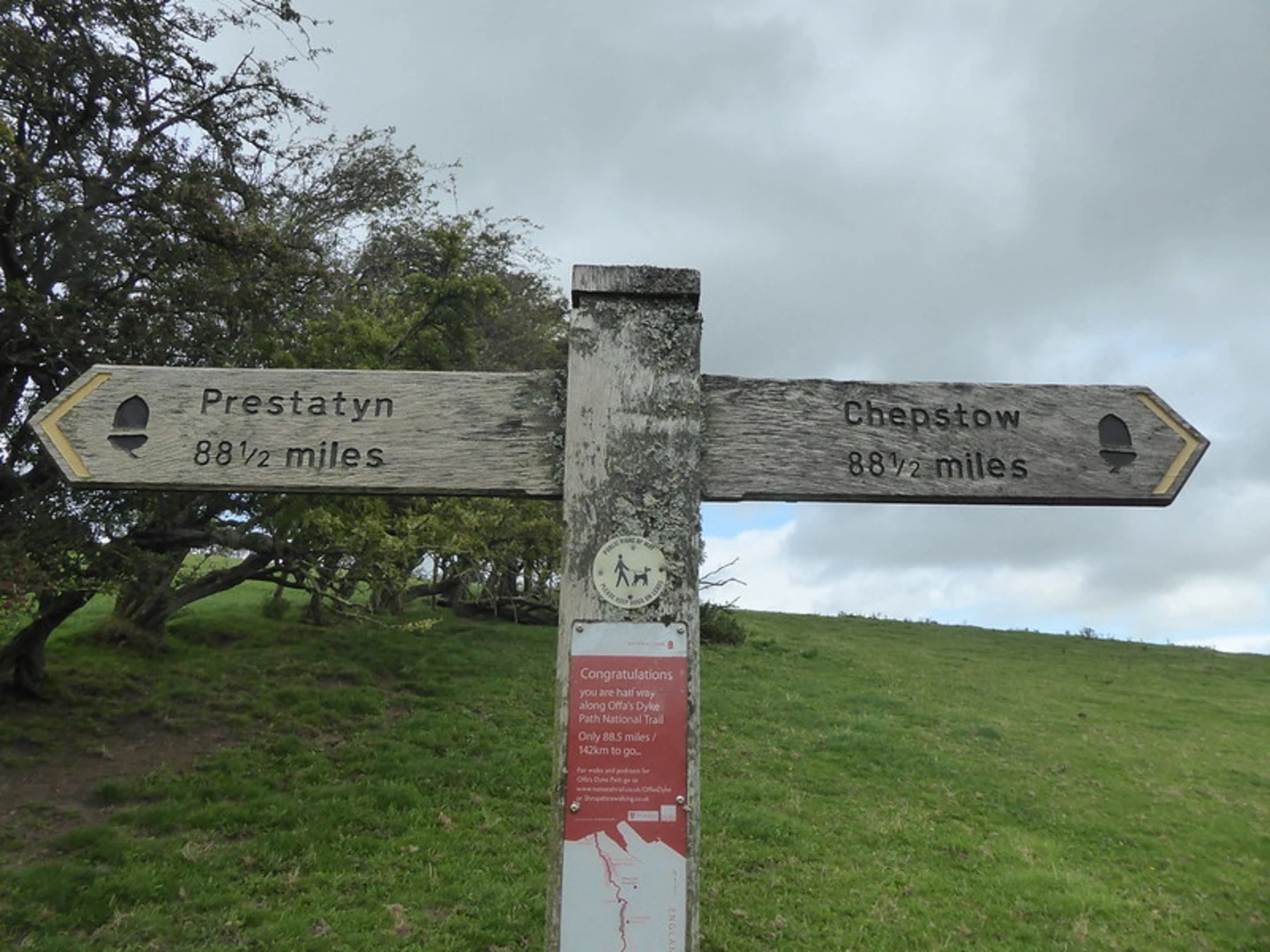 An image depicting the trail Graig Hill Loop and its surrounding area.