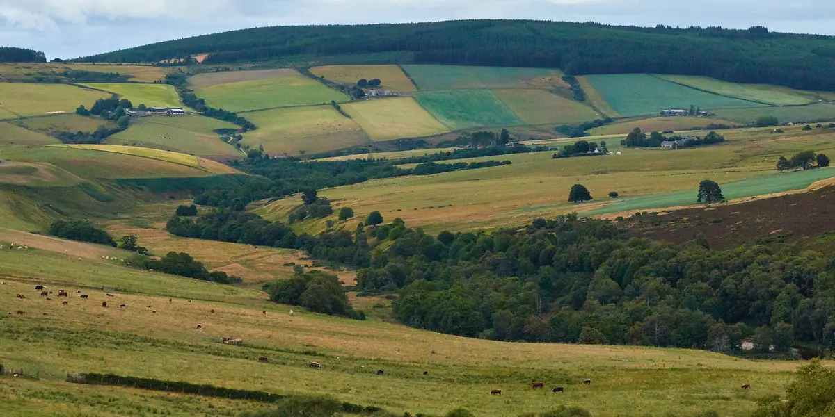 Giant's Chair Walk - Dufftown