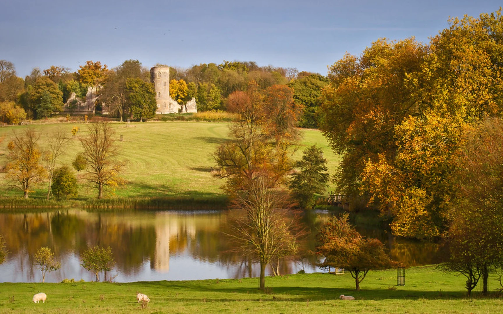 An image depicting the trail Wimpole Estate Loop and its surrounding area.