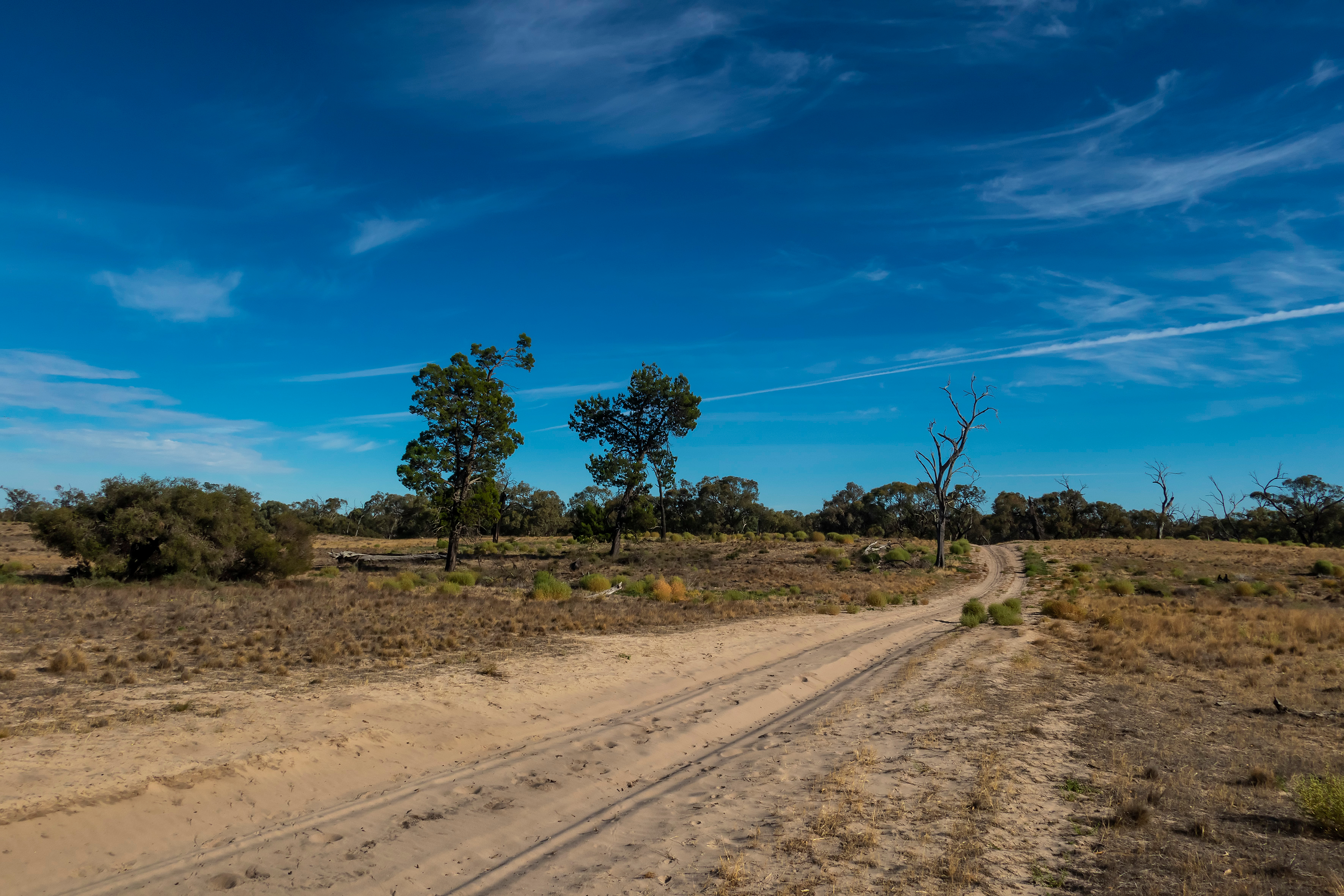 An image depicting the trail Wyperfeld National Park and its surrounding area.