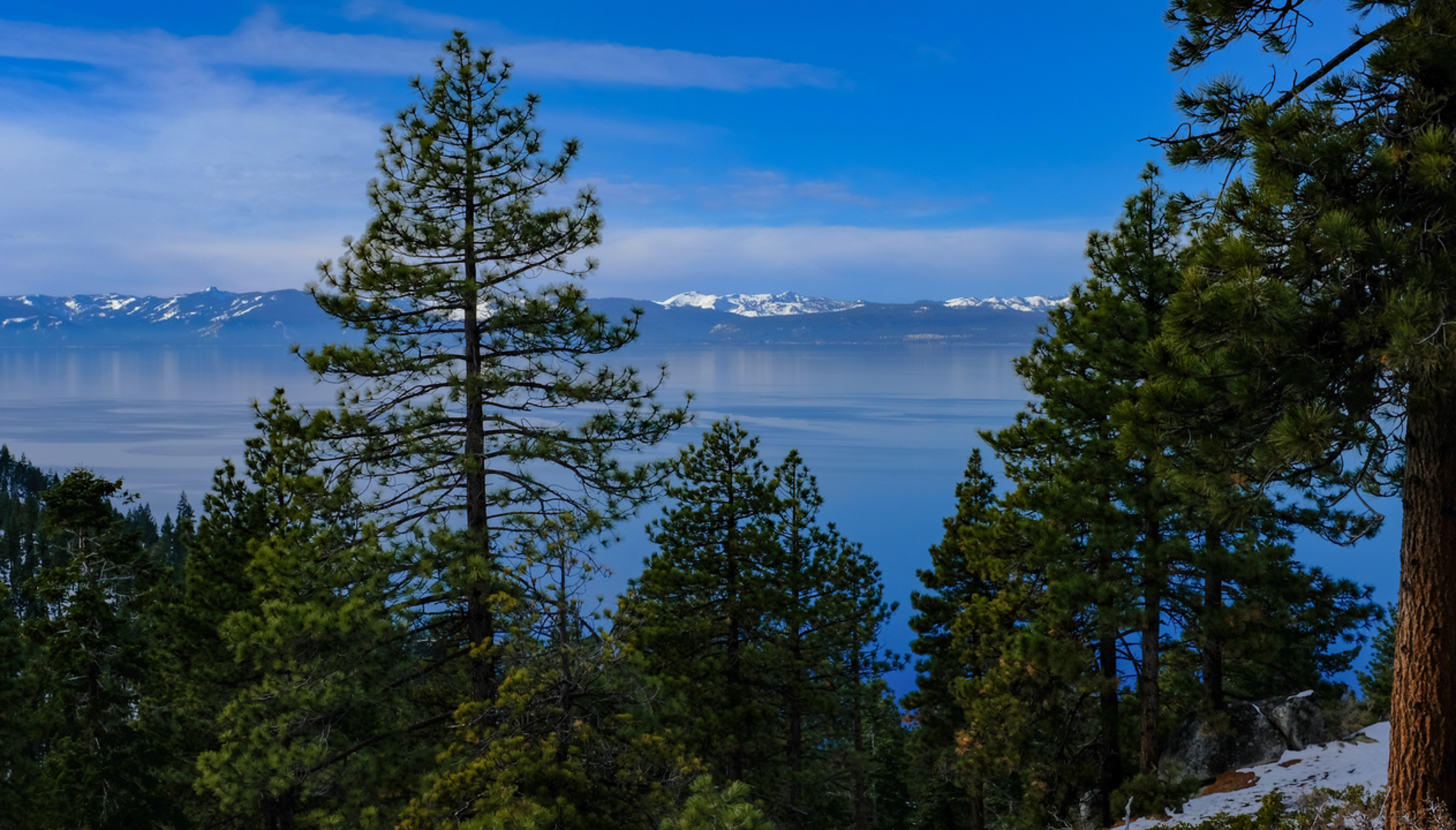 An image depicting the trail Skunk Harbor Trail and its surrounding area.