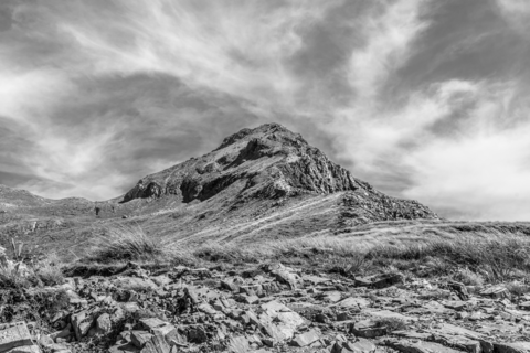 An image depicting the trail Tellurium Lake Trail and its surrounding area.