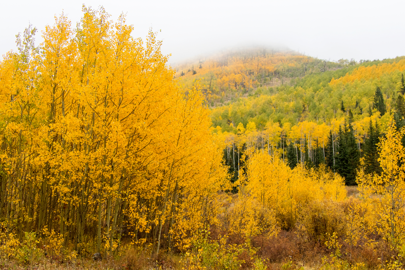 An image depicting the trail Straight Creek Southside Trail and its surrounding area.