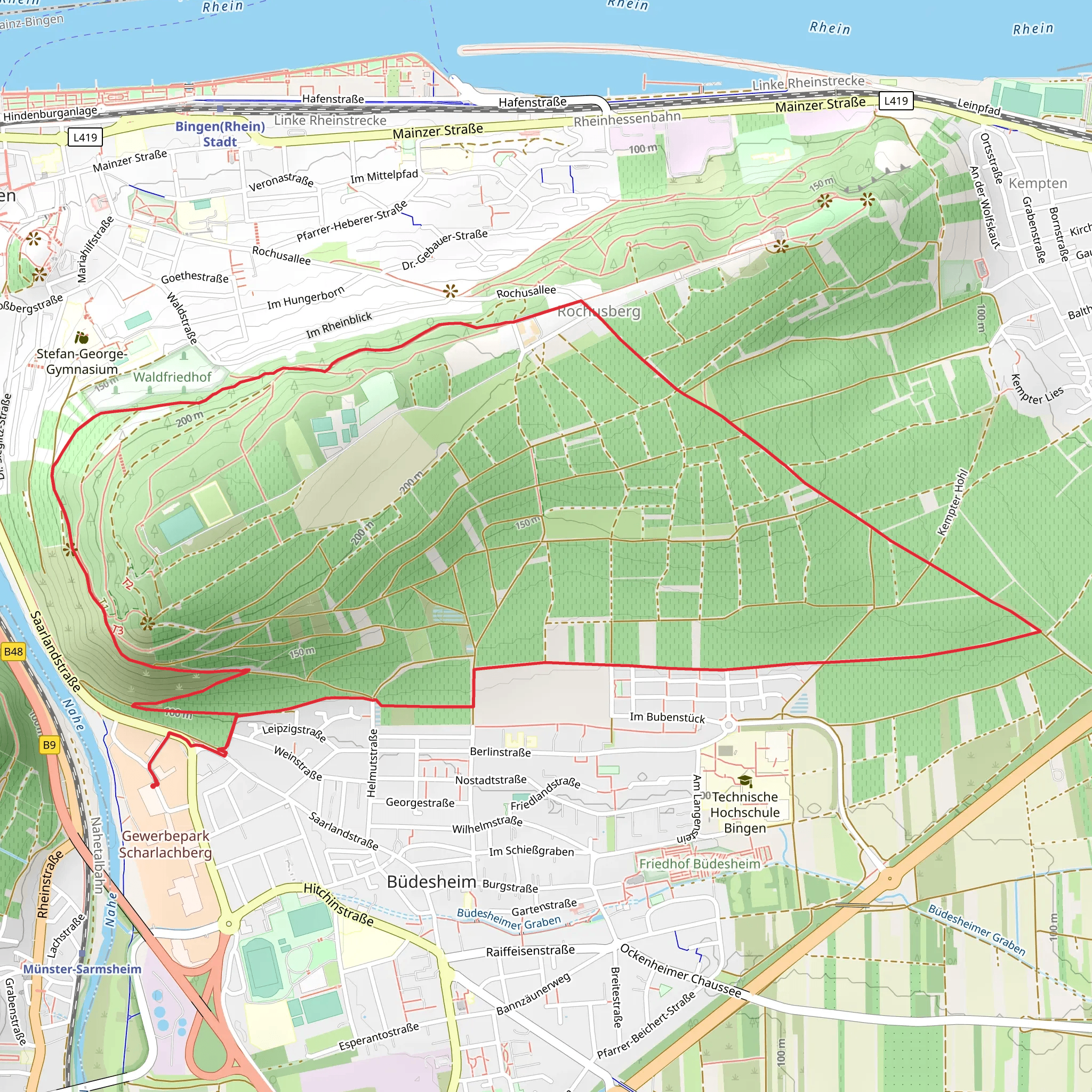 Bingen Loop via Rochusweg mobile static map