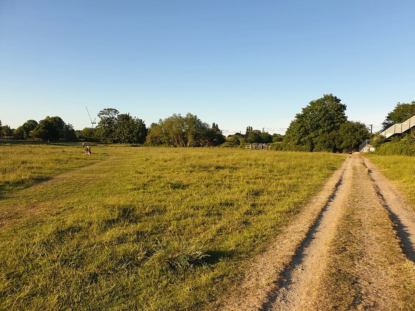 An image depicting the trail Cambridge to Milton Country Park Walk and its surrounding area.