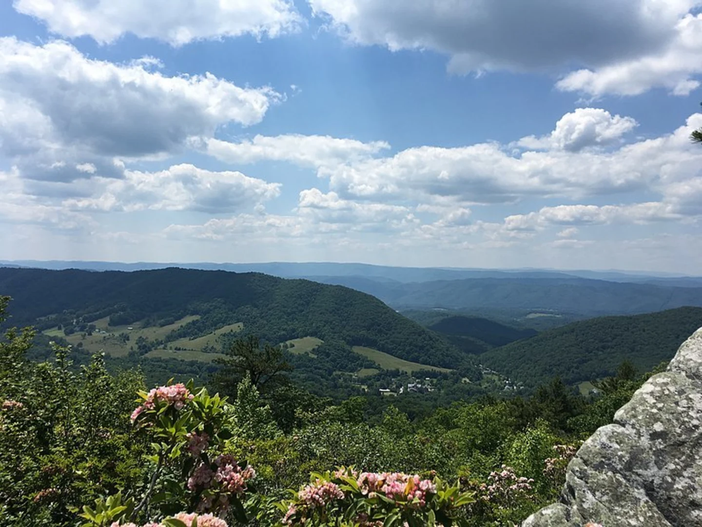 An image depicting the trail Little Mare Mountain Trail and its surrounding area.