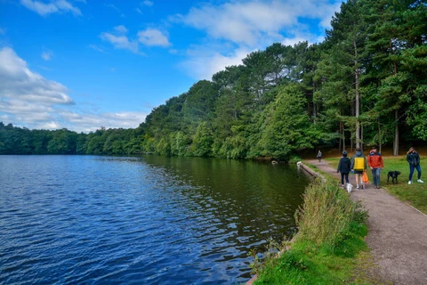 An image depicting the trail Sutton Park Loop from Streetly Station and its surrounding area.