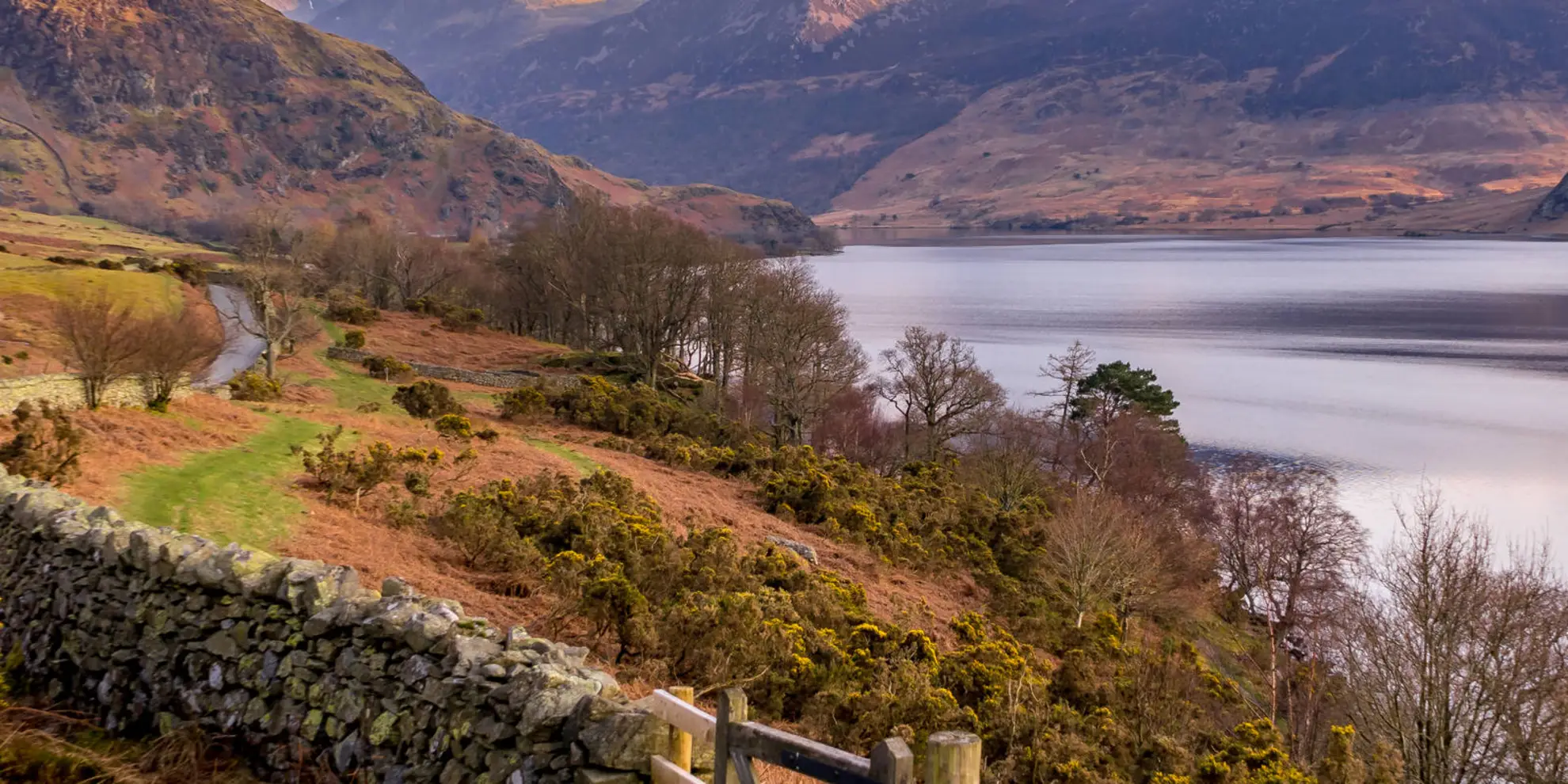 An image depicting the trail Lanthwaite Wood and Crummock Water Walk and its surrounding area.