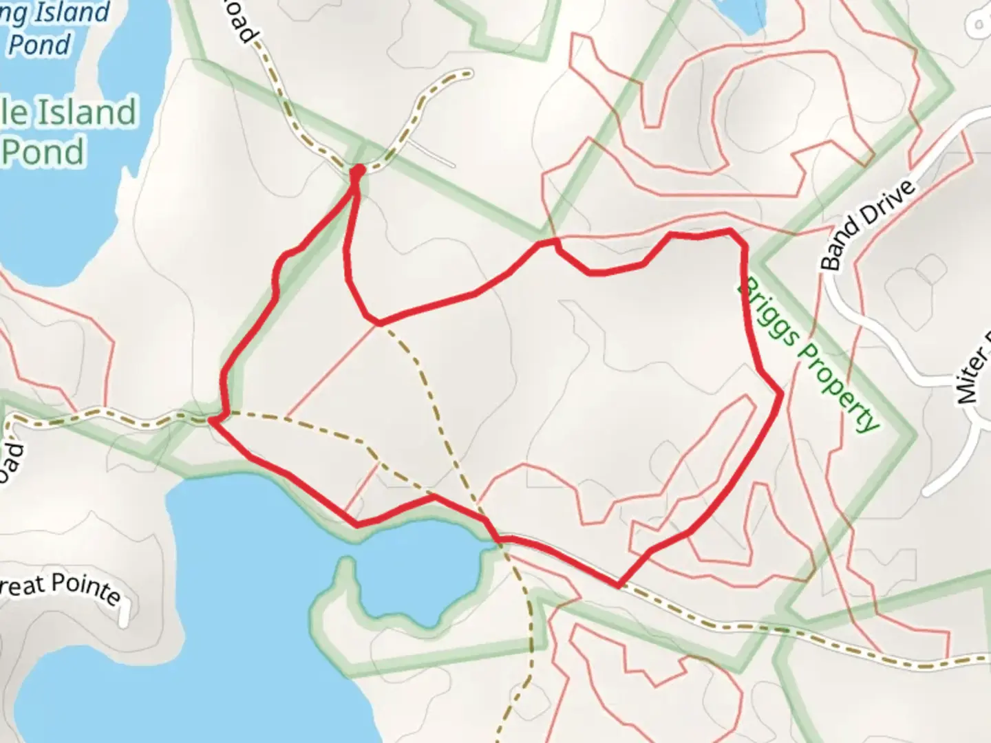 An image depicting the trail Great Island Pond Loop and its surrounding area.