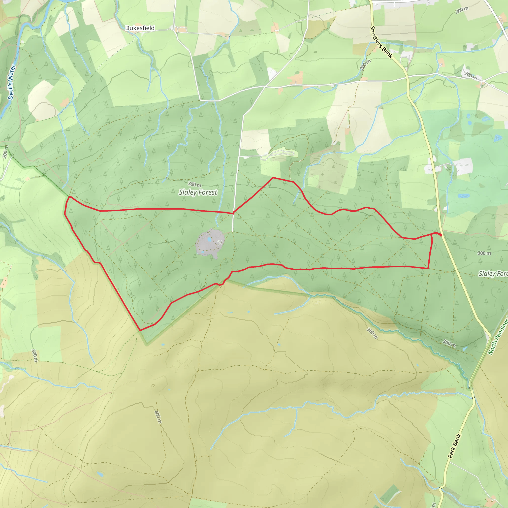 Slaley Forest Circular mobile static map