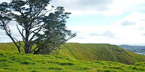 An image depicting the trail Maungarei - Mount Wellington and its surrounding area.