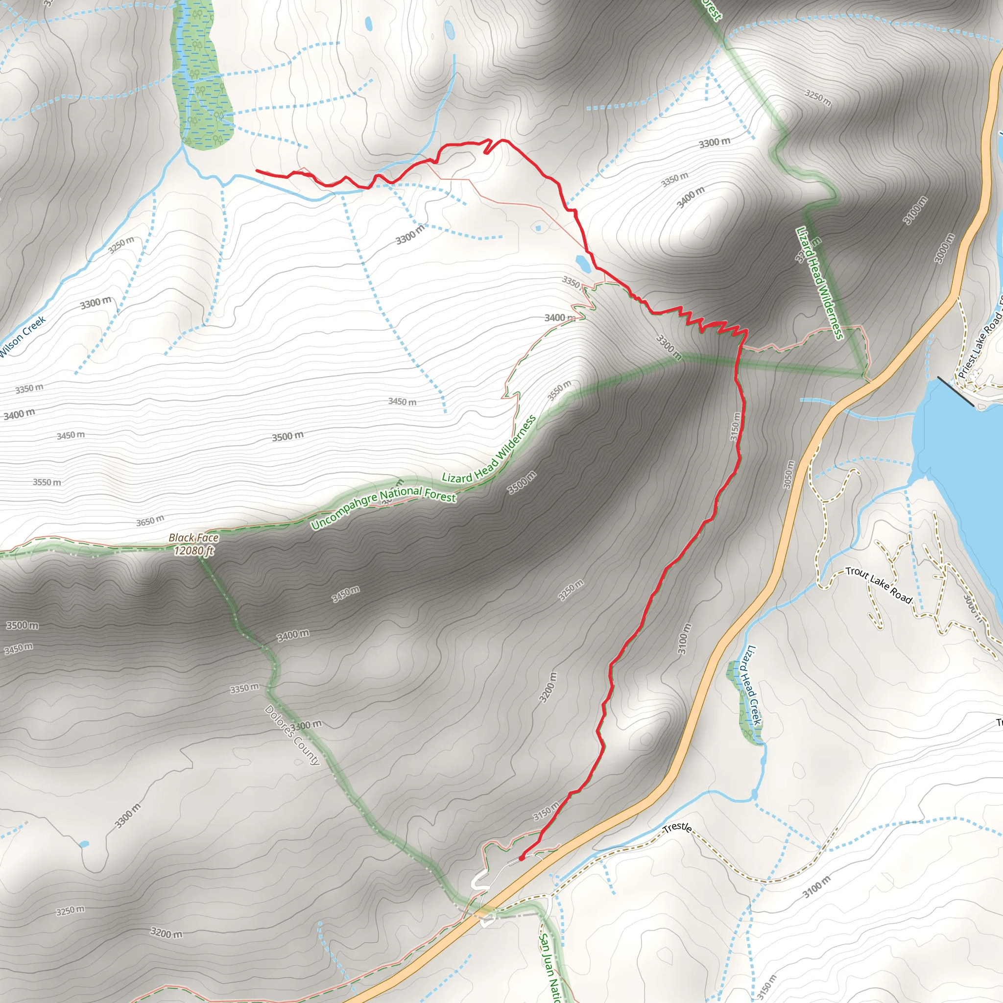 Wilson Meadows Trail mobile static map
