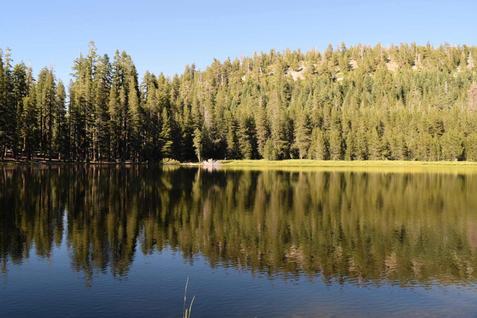 An image depicting the trail Lukens Lake Trail and its surrounding area.