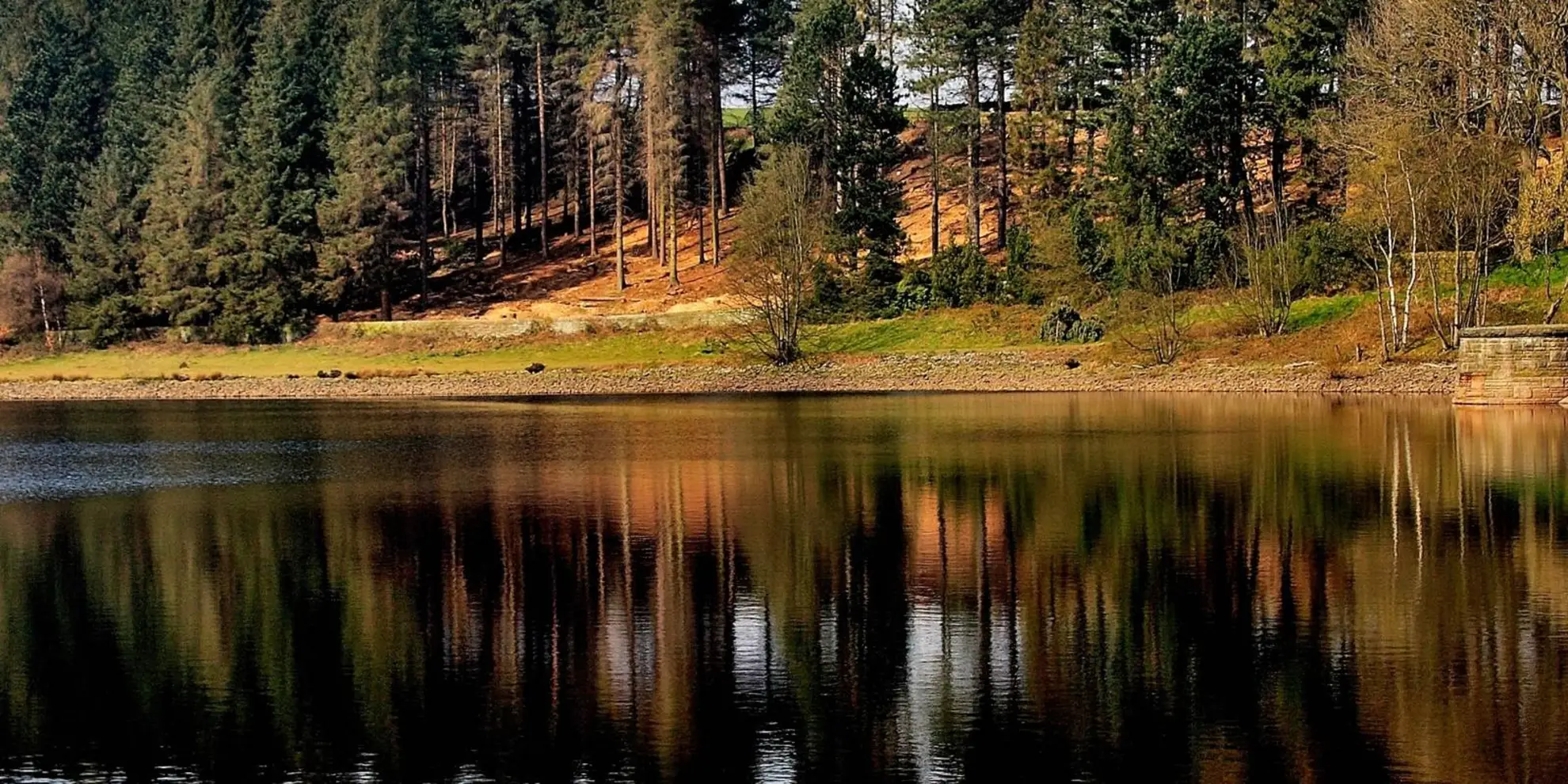 An image depicting the trail Cal-Der-Went Walk and its surrounding area.