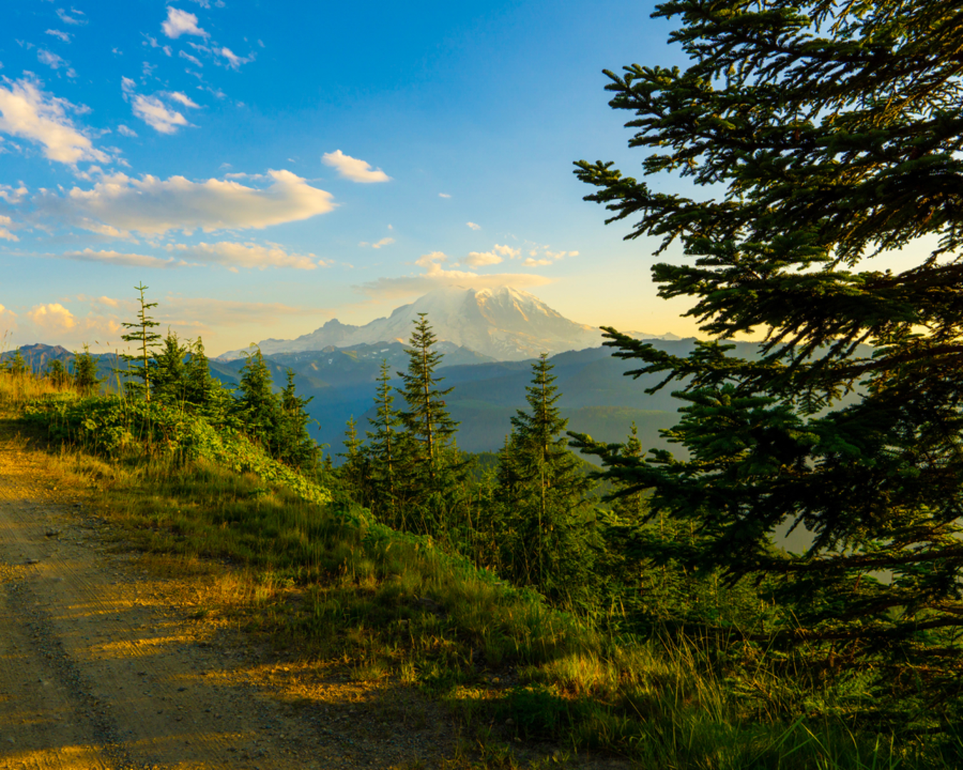 An image depicting the trail Suntop Trail and its surrounding area.