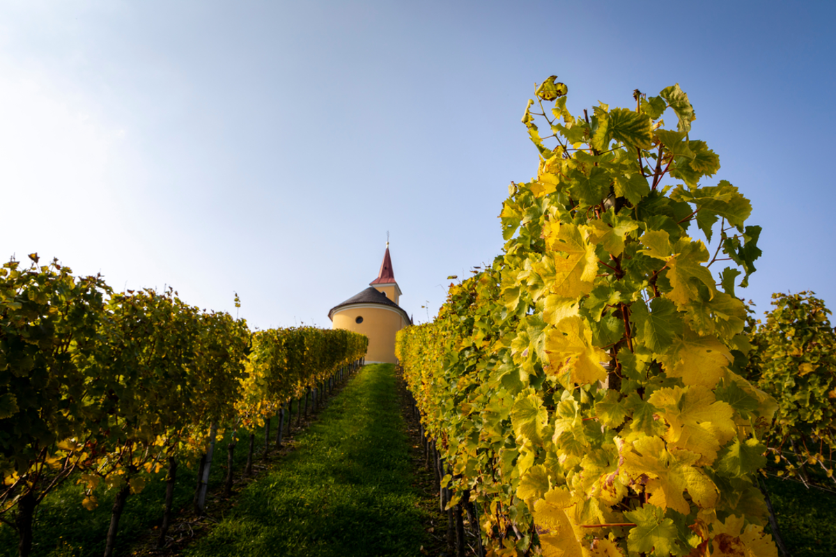 Ratsch-Ottenberg Weinwanderweg