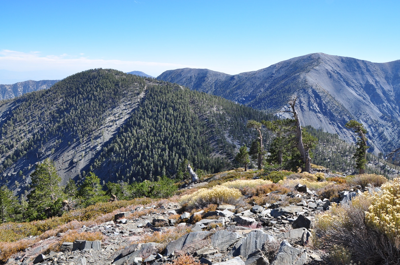 An image depicting the trail Pine Mountain, Dawson Peak and Mount San Antonio and its surrounding area.