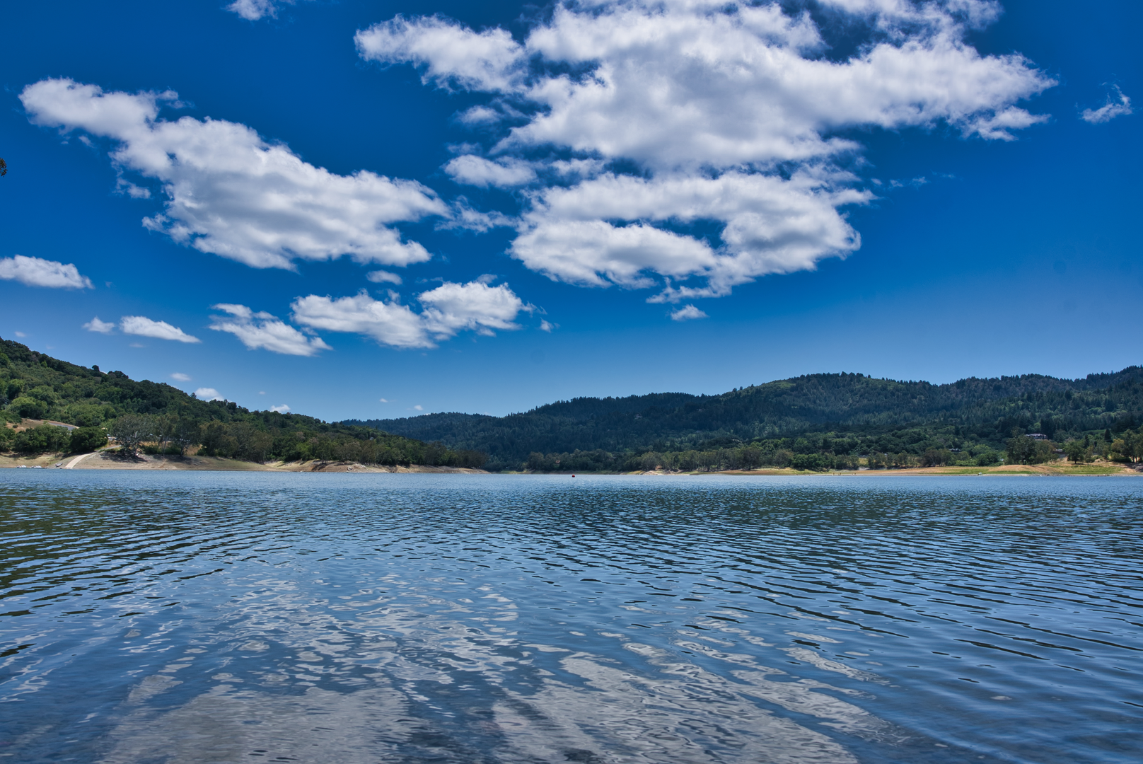 An image depicting the trail Los Gatos Creek Trail from Lexington Reservoir and its surrounding area.