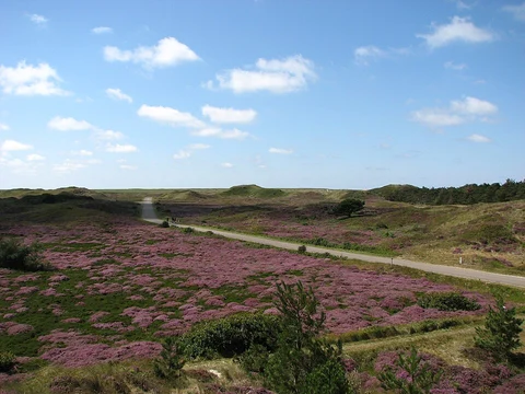 Vuurtoren Elerland and De Robbenjager in Duinen Van Texel