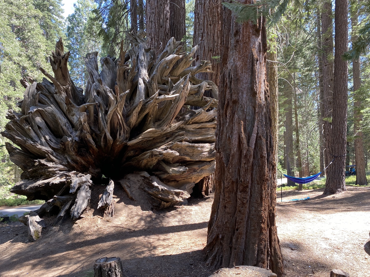 An image depicting the trail Princess Campground Loop and its surrounding area.