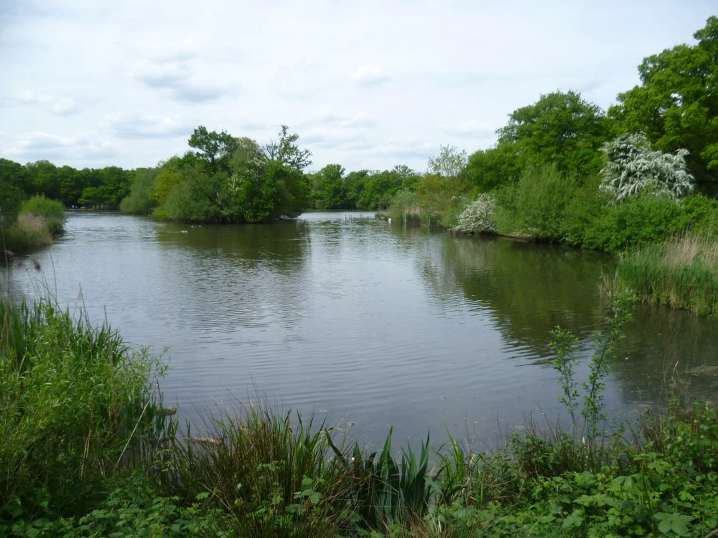 An image depicting the trail Holy Innocent Church, North Long Hills and Connaught Water Walk - Chingford and its surrounding area.