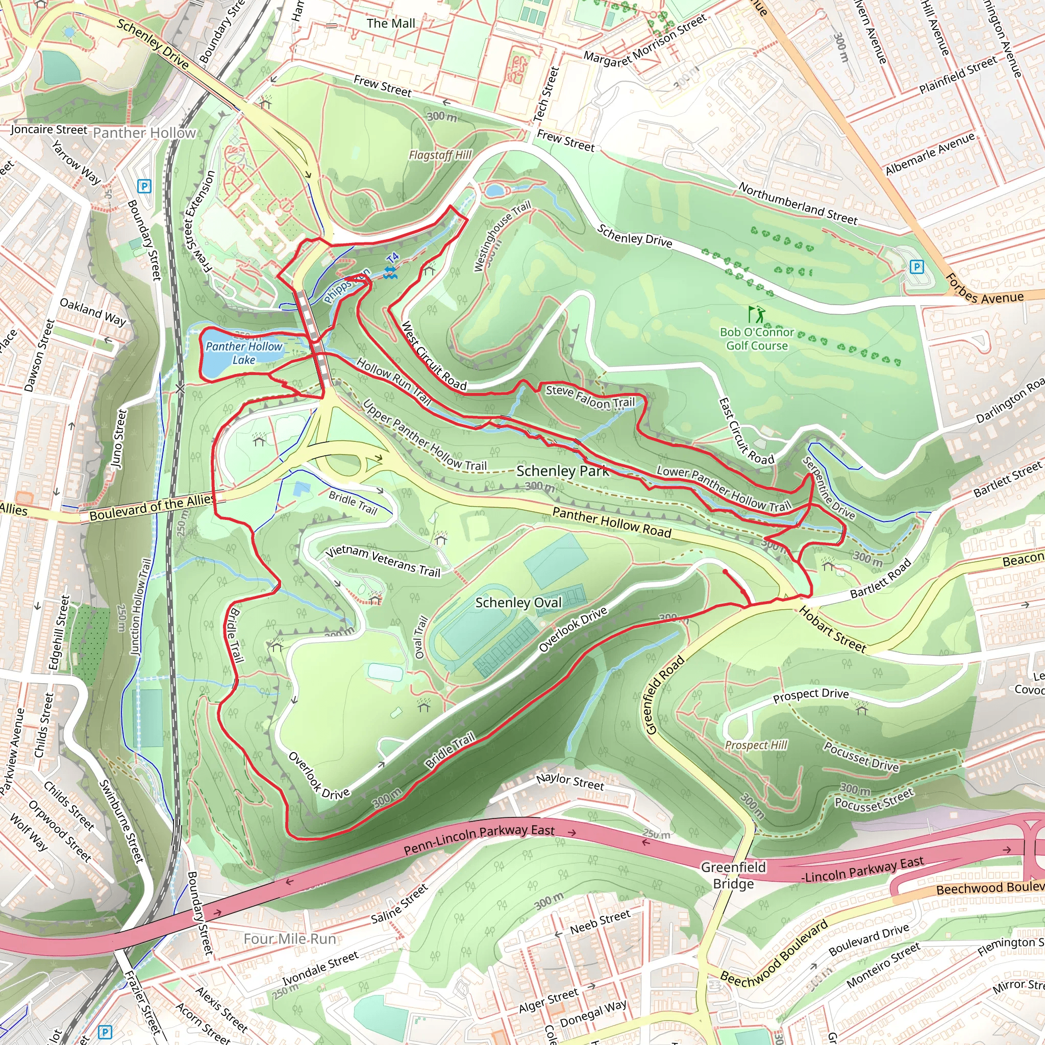 Panther Hollow Lake via Scheneley Park Hiking mobile static map