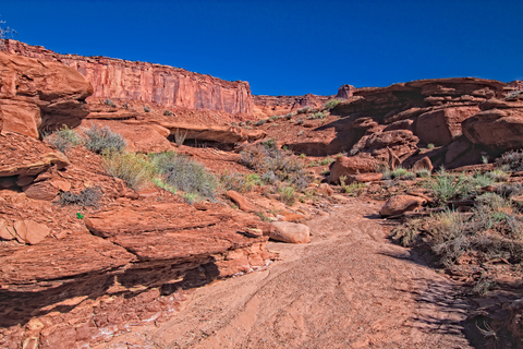 An image depicting the trail Murphy Wash Trail and its surrounding area.