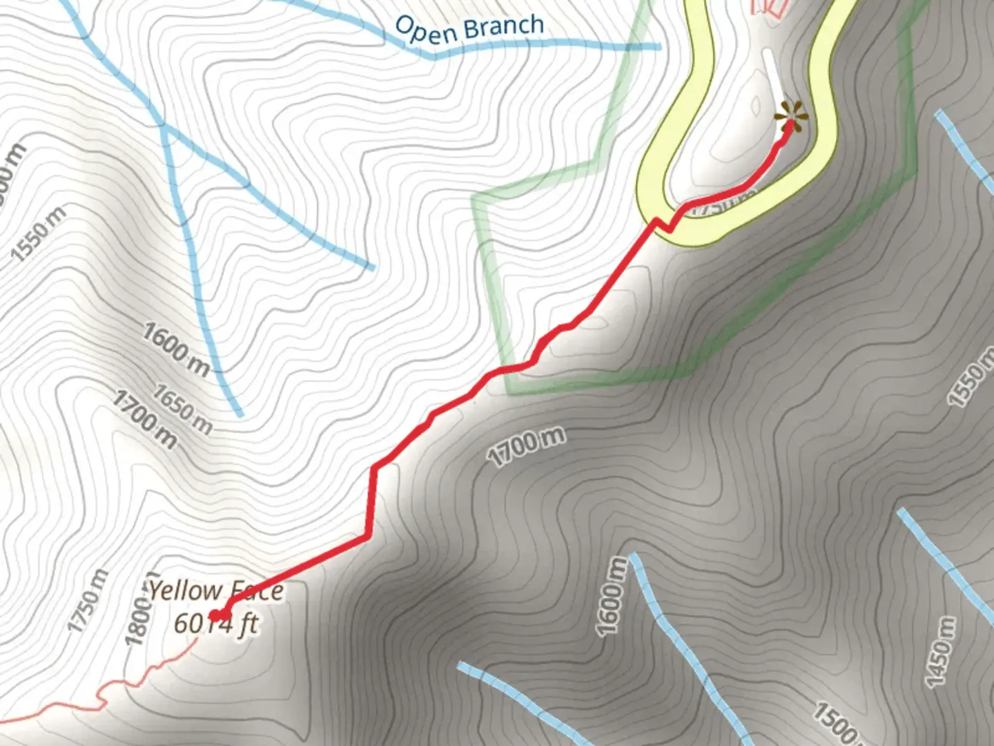 An image depicting the trail Yellow Face from Waterrock Knob Road and its surrounding area.