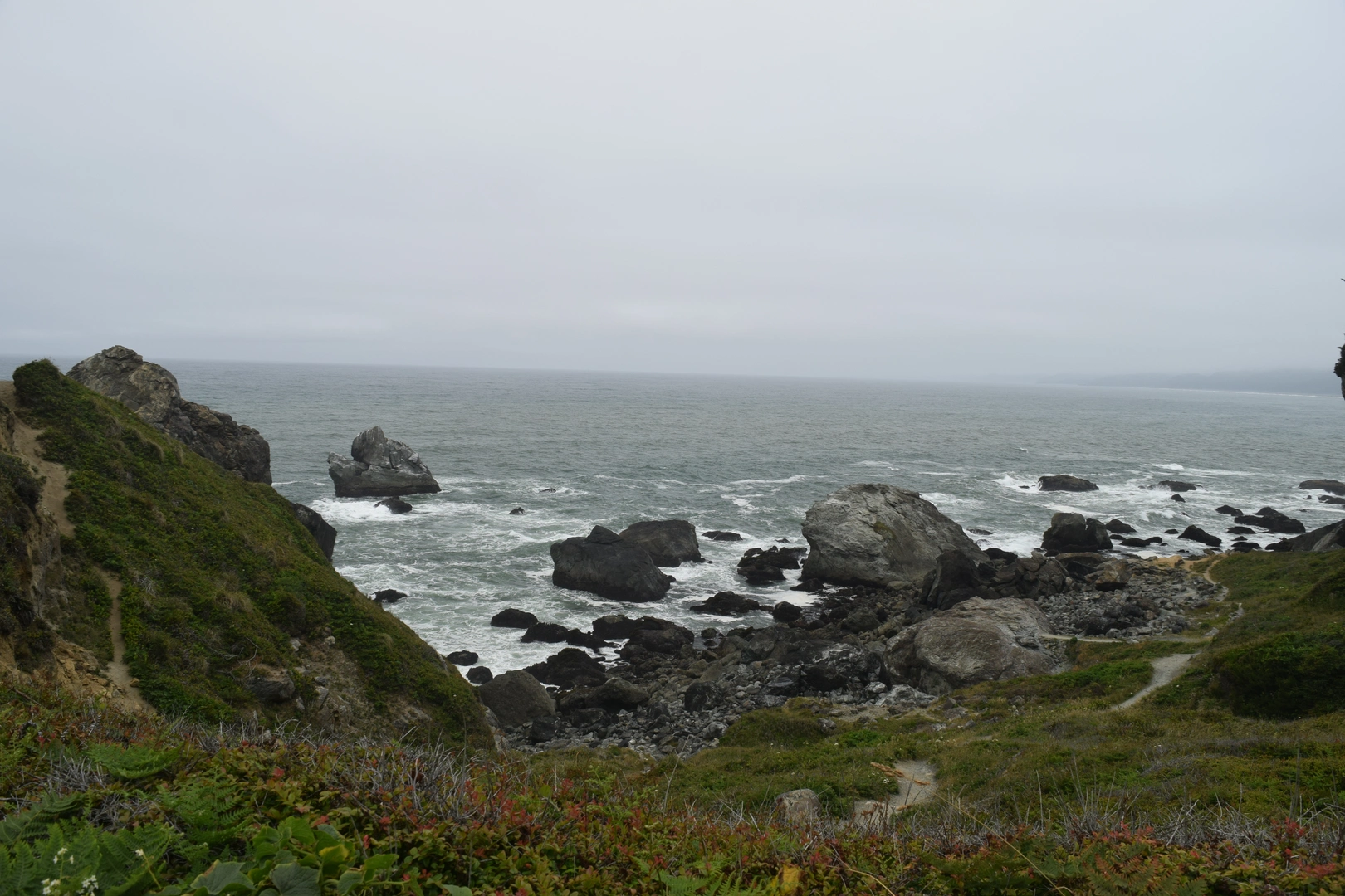 An image depicting the trail Patrick's Point Trail and its surrounding area.