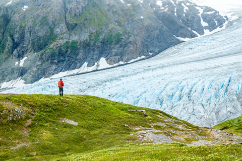 An image depicting the trail Harding Icefield Trail and its surrounding area.