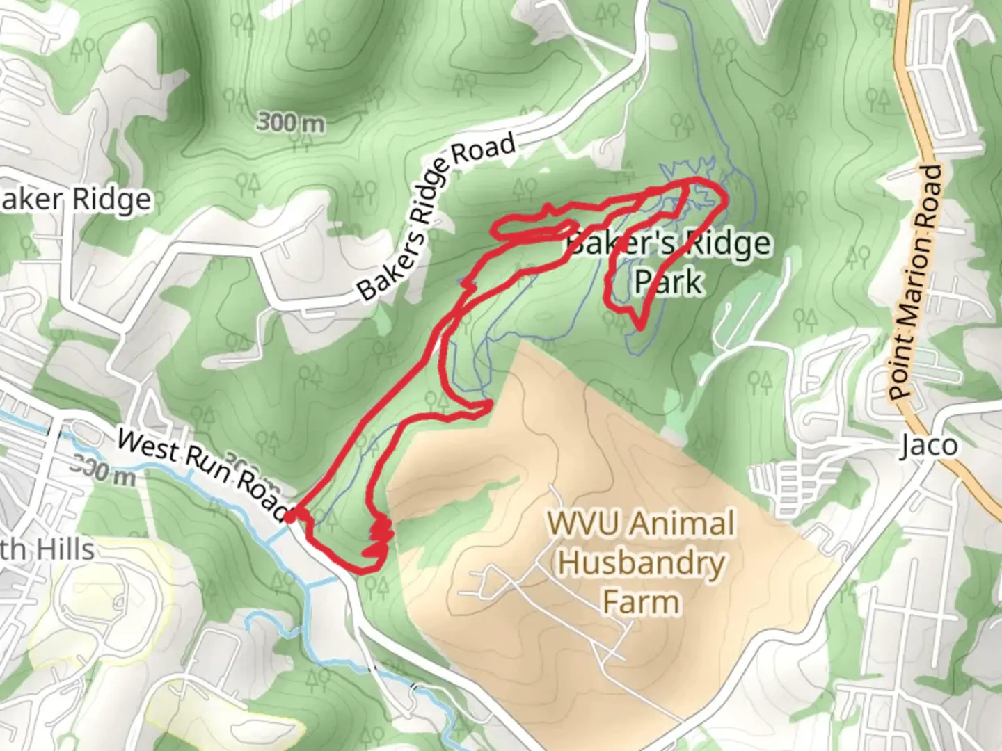 An image depicting the trail Baker's Ridge Park Loop and its surrounding area.