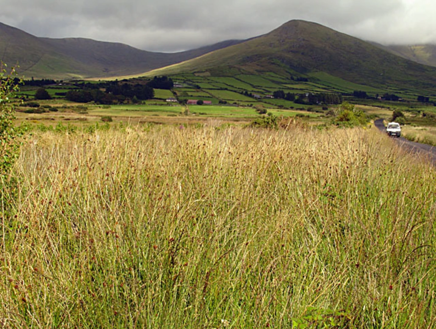 An image depicting the trail Teeromoyle Mountain and Been Hill Loop and its surrounding area.