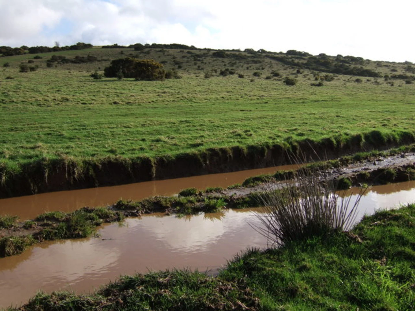 An image depicting the trail Fernworthy Down and its surrounding area.