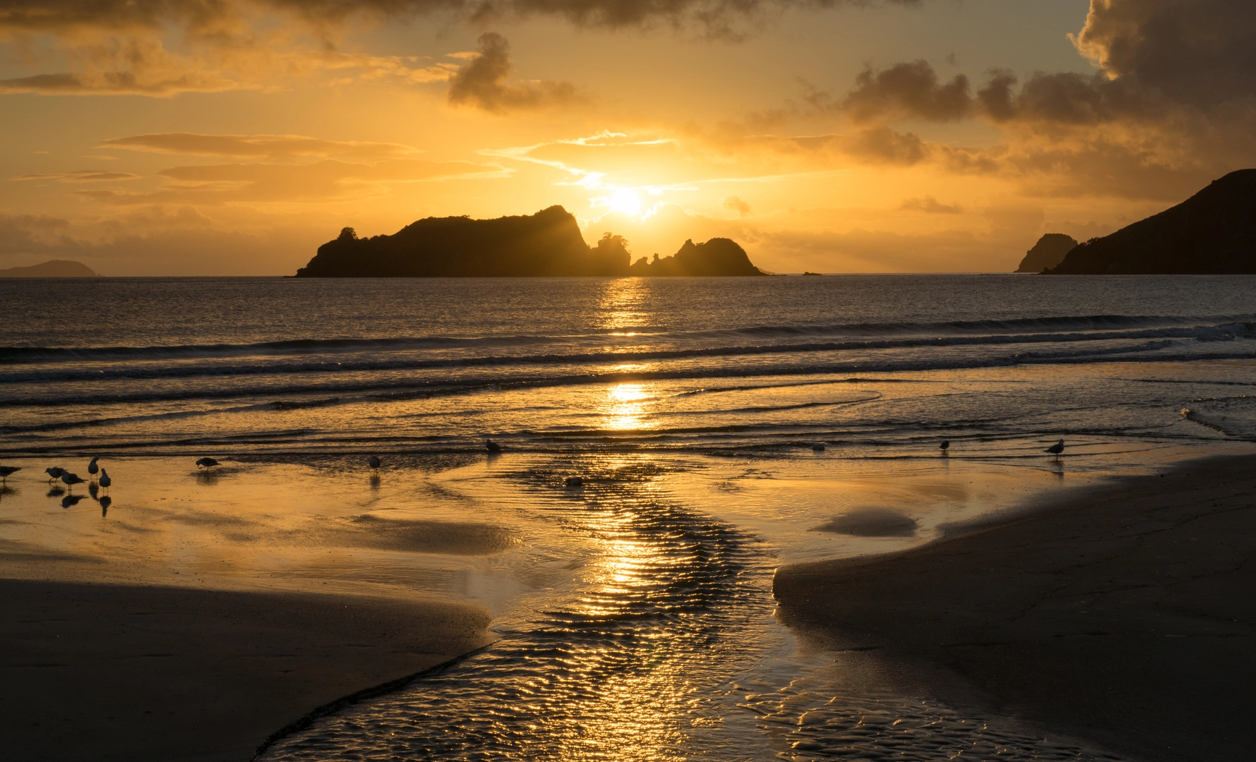 An image depicting the trail Opito Pa Walk and its surrounding area.