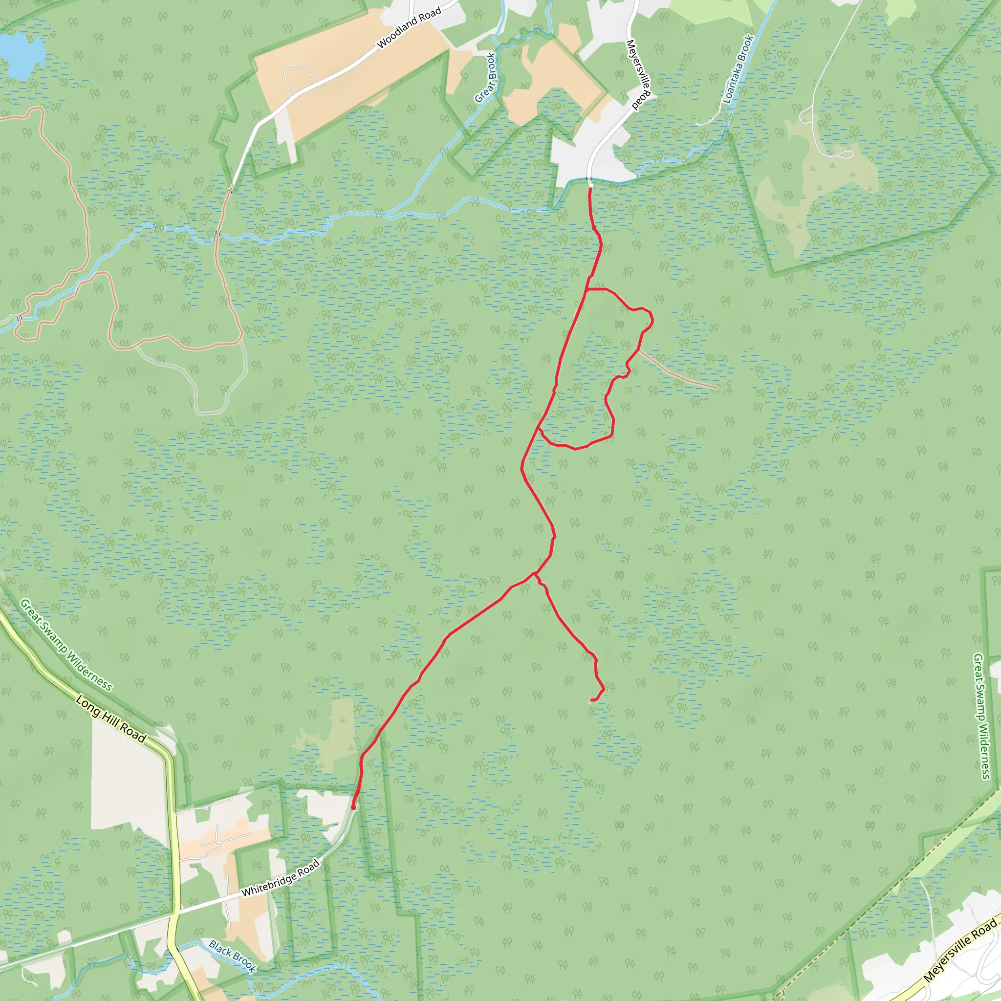 Orange Trail from Whitebridge Road mobile static map