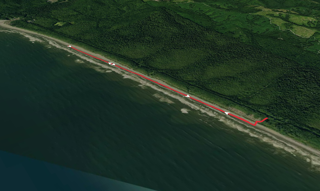 South Kalaloch Beach Out and Back