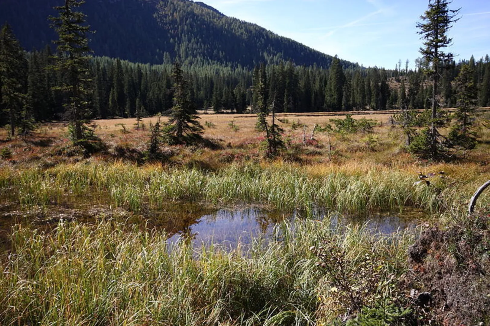 An image depicting the trail Viehbergalm - Miesbodensee and its surrounding area.