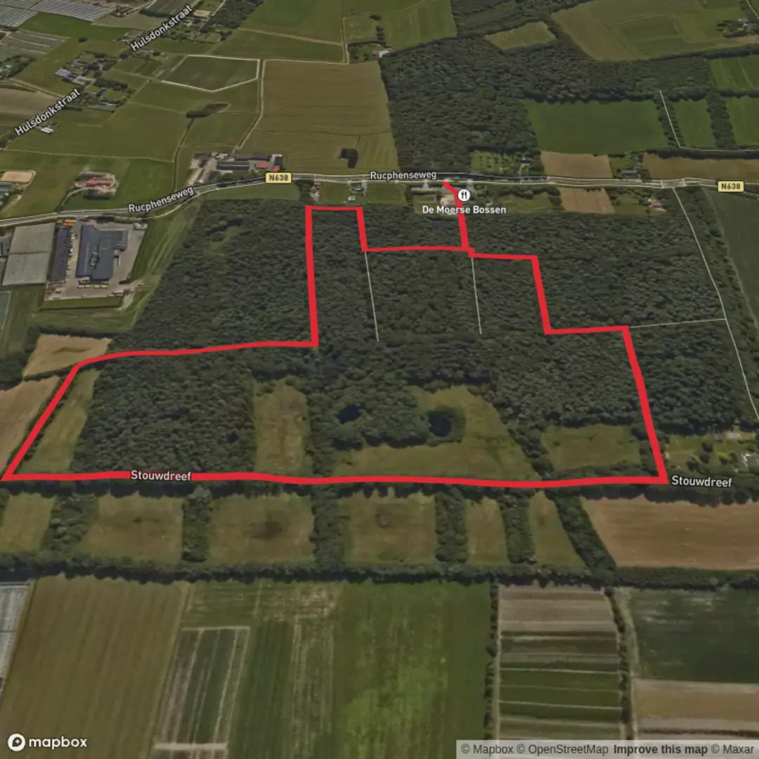 An image depicting the trail Stouwdreef Loop and its surrounding area.