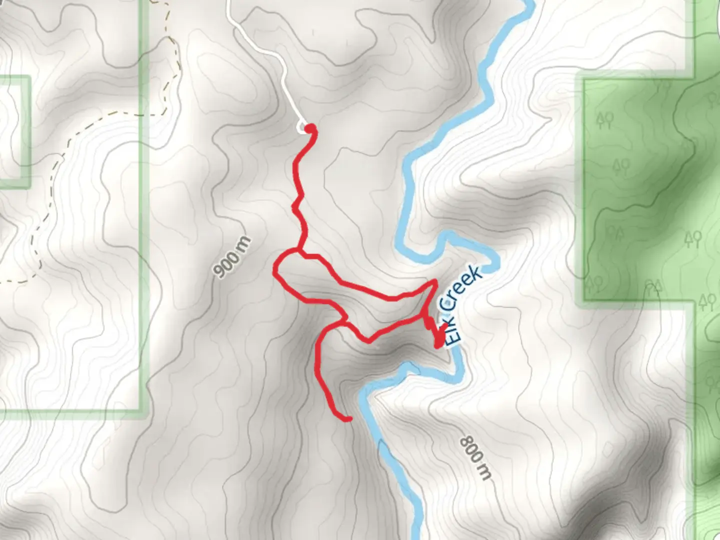 An image depicting the trail Elk Creek Falls Loop Trail and its surrounding area.